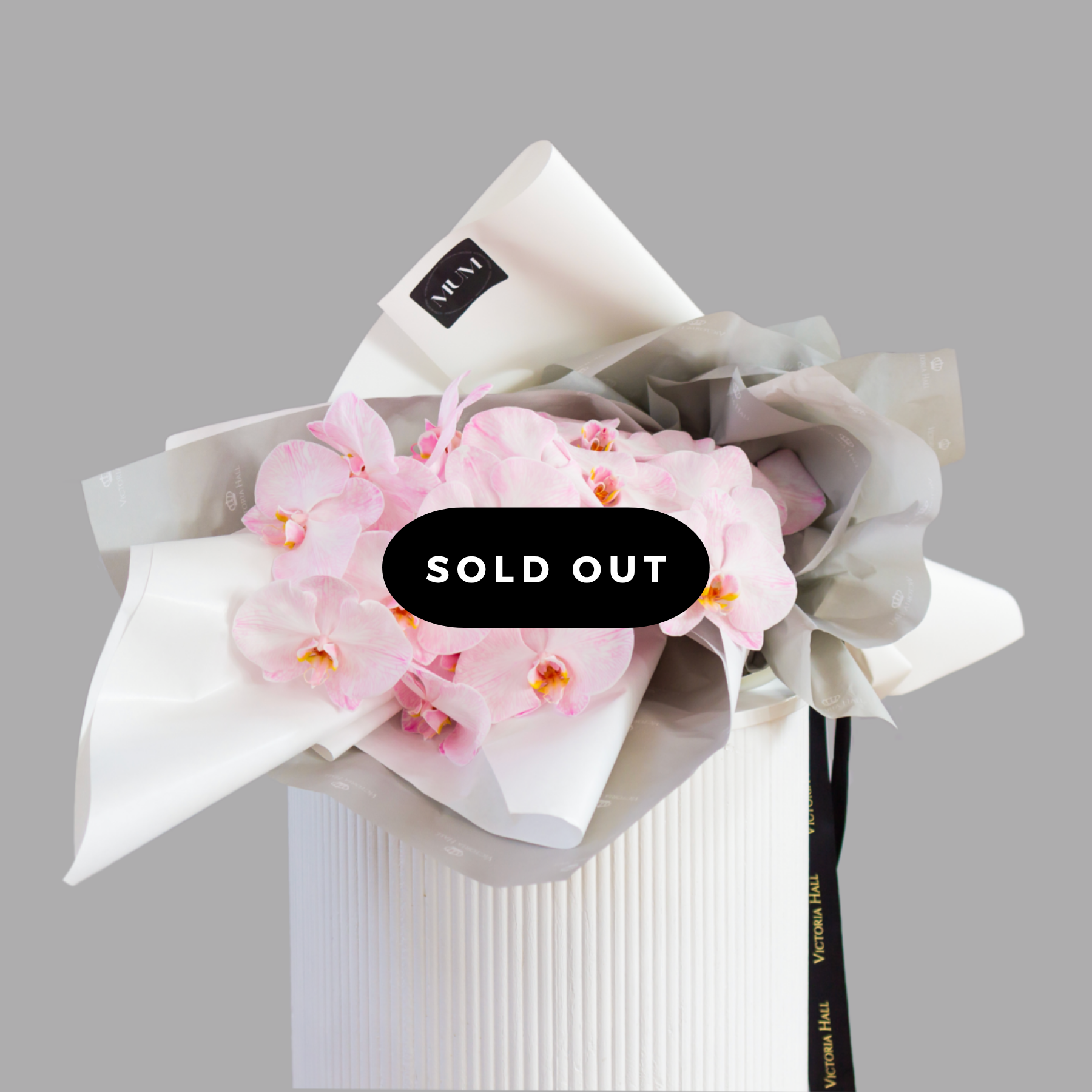Phalaenopsis Gifting Stem